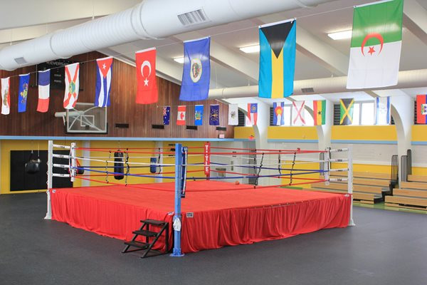 Martial Arts and Boxing